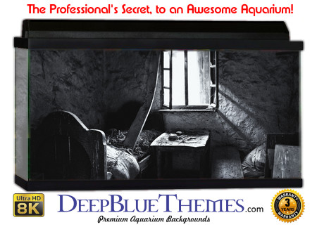 Buy Aquarium Background Creepy 0022 Aquarium Background