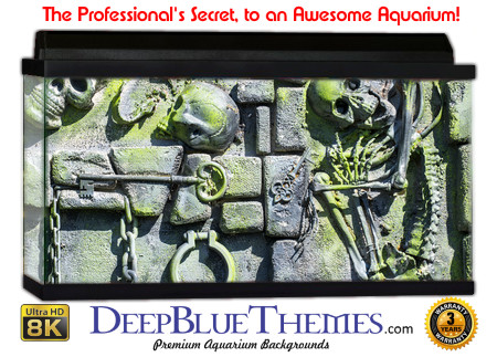 Buy Aquarium Background Creepy 0026 Aquarium Background