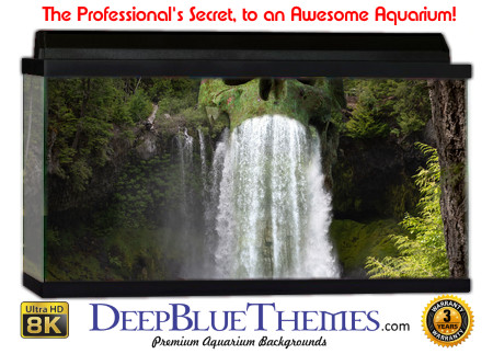 Buy Aquarium Background Creepy 0032 Aquarium Background