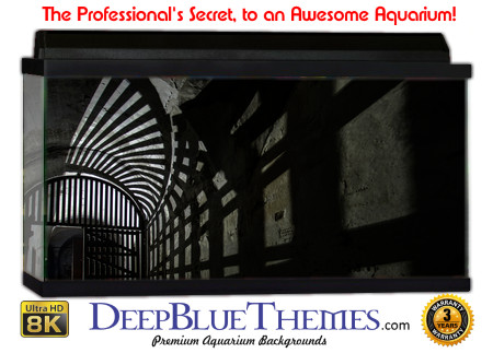 Buy Aquarium Background Creepy 0033 Aquarium Background