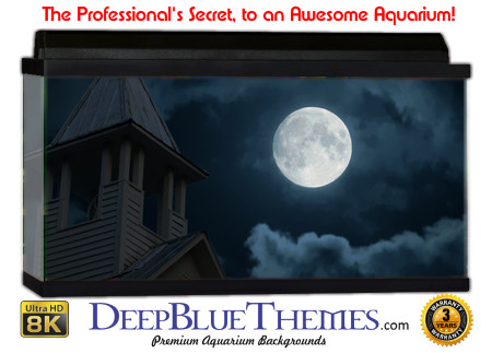 Buy Aquarium Background Creepy 0034 Aquarium Background