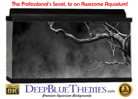Buy Aquarium Background Creepy 0035 Aquarium Background