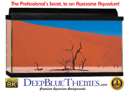 Buy Aquarium Background Desert Arch Aquarium Background