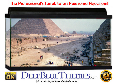 Buy Aquarium Background Desert Build Aquarium Background