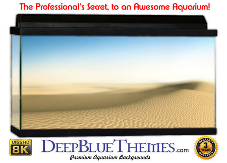 Buy Aquarium Background Desert Clean Aquarium Background