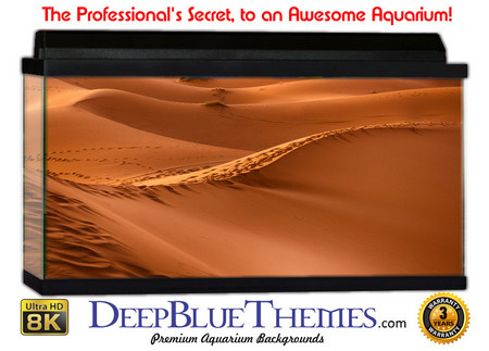 Buy Aquarium Background Desert Edge Aquarium Background