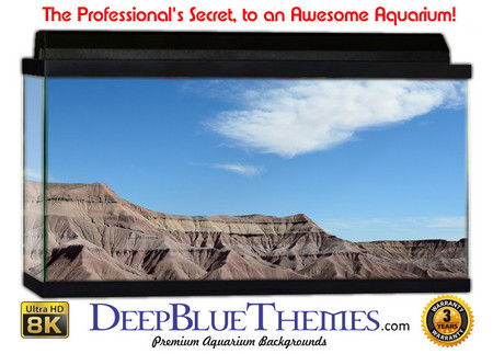 Buy Aquarium Background Desert Escape Aquarium Background