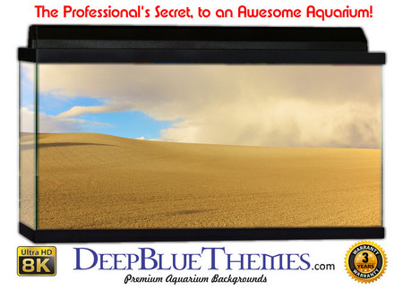 Buy Aquarium Background Desert Field Aquarium Background