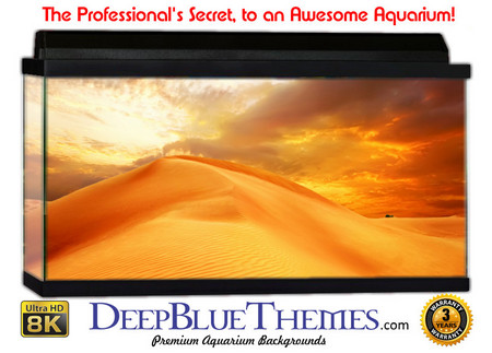 Buy Aquarium Background Desert Golden Aquarium Background