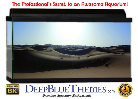 Buy Aquarium Background Desert Gray Aquarium Background
