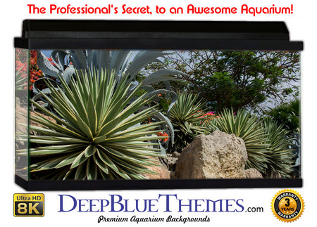 Buy Aquarium Background Desert Greens Aquarium Background