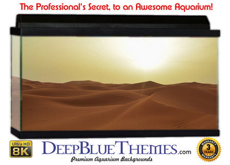 Buy Aquarium Background Desert Hills Aquarium Background
