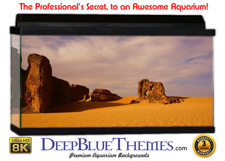 Buy Aquarium Background Desert Outcrop Aquarium Background