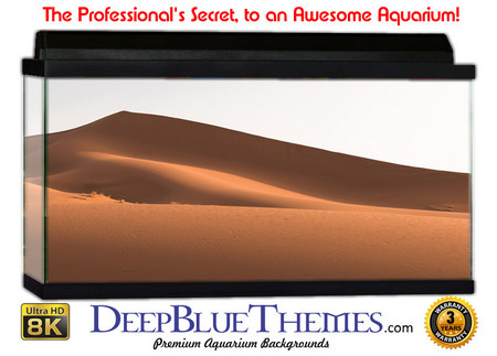 Buy Aquarium Background Desert Point Aquarium Background