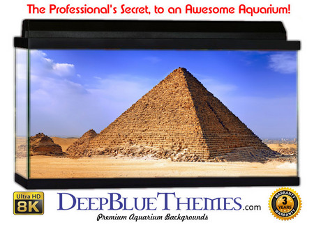 Buy Aquarium Background Desert Pyramid Aquarium Background