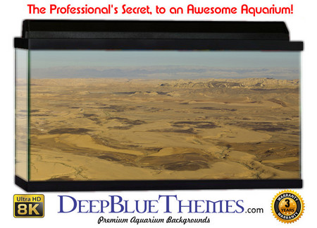 Buy Aquarium Background Desert Raw Aquarium Background