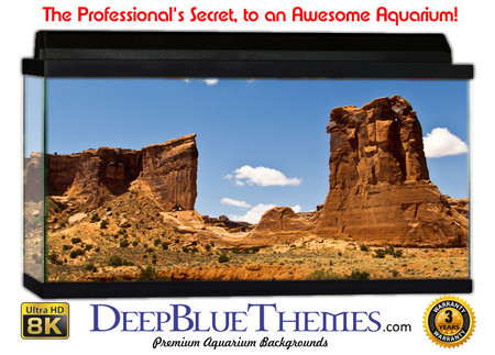 Buy Aquarium Background Desert Reach Aquarium Background