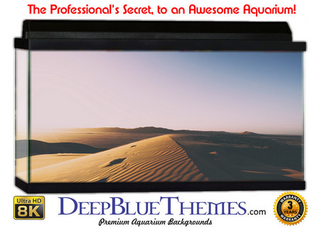 Buy Aquarium Background Desert Steps Aquarium Background