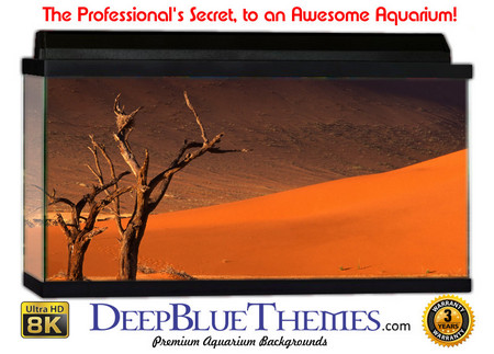 Buy Aquarium Background Desert Twins Aquarium Background