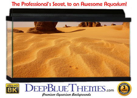 Buy Aquarium Background Desert Waves Aquarium Background