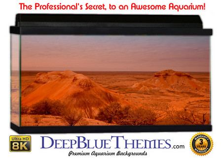 Buy Aquarium Background Desert Wind Aquarium Background