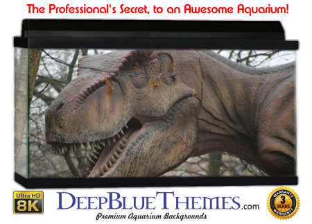 Buy Aquarium Background Dinosaur 0002 Aquarium Background