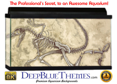 Buy Aquarium Background Dinosaur 0005 Aquarium Background
