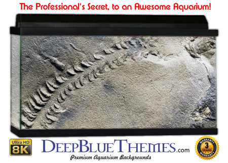 Buy Aquarium Background Dinosaur 0007 Aquarium Background