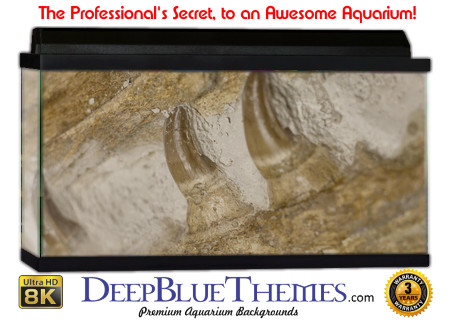 Buy Aquarium Background Dinosaur 0009 Aquarium Background