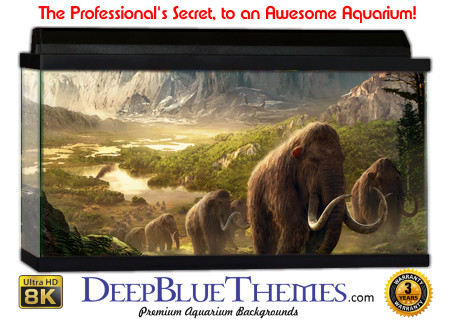 Buy Aquarium Background Dinosaur 0011 Aquarium Background
