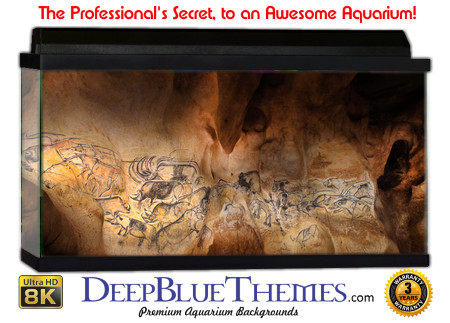 Buy Aquarium Background Dinosaur 0012 Aquarium Background