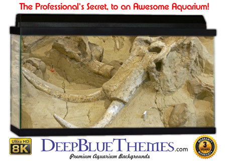 Buy Aquarium Background Dinosaur 0013 Aquarium Background
