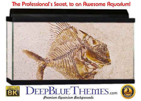 Buy Aquarium Background Dinosaur 0015 Aquarium Background