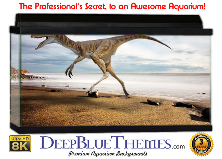 Buy Aquarium Background Dinosaur 0030 Aquarium Background