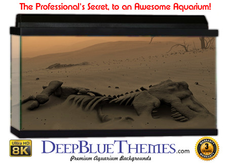 Buy Aquarium Background Dinosaur 0038 Aquarium Background