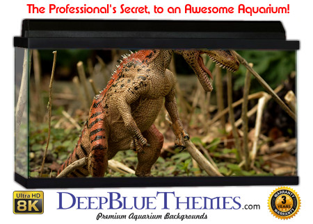 Buy Aquarium Background Dinosaur 0043 Aquarium Background
