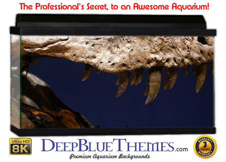 Buy Aquarium Background Dinosaur 0044 Aquarium Background