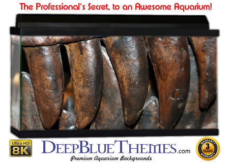 Buy Aquarium Background Dinosaur 0045 Aquarium Background