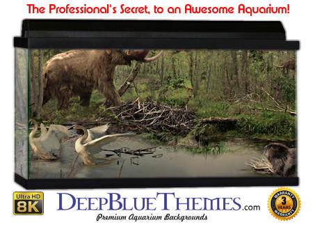 Buy Aquarium Background Dinosaur 0047 Aquarium Background