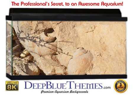 Buy Aquarium Background Dinosaur 0048 Aquarium Background