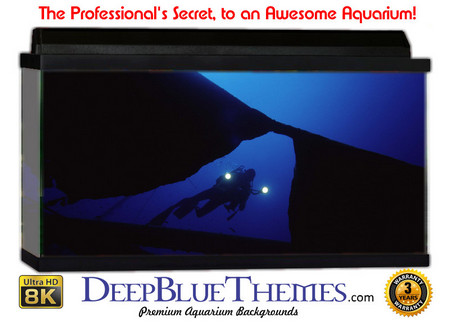 Buy Aquarium Background Divers Wreck Aquarium Background