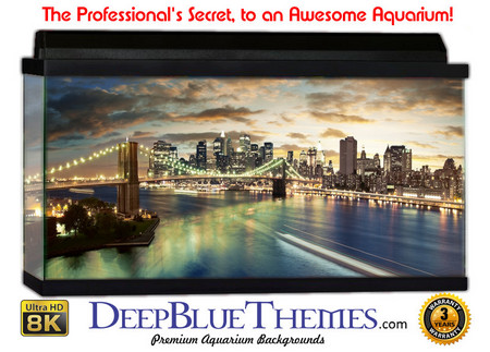 Buy Aquarium Background Bridge City Aquarium Background