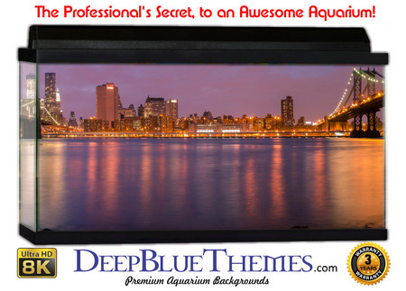 Buy Aquarium Background Bridge Color Aquarium Background