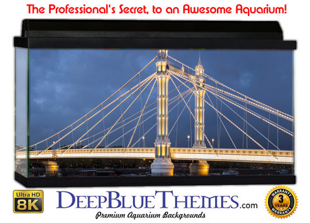 Buy Aquarium Background Bridge London Aquarium Background