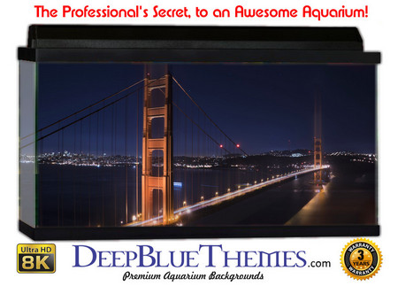 Buy Aquarium Background Bridge Moon Aquarium Background