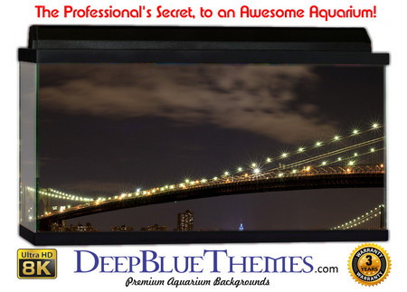 Buy Aquarium Background Bridge Pano Aquarium Background