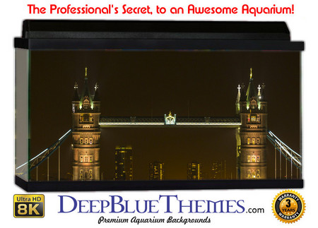 Buy Aquarium Background Bridge Side Aquarium Background