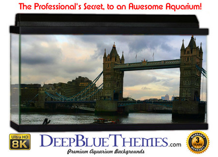 Buy Aquarium Background Bridge Tower Aquarium Background