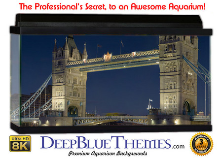 Buy Aquarium Background Bridge Uk Aquarium Background