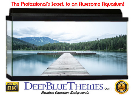 Buy Aquarium Background Dock Dream Aquarium Background